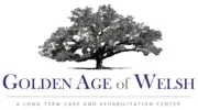 Golden Age of Welsh