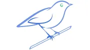Blue Bird Accounting