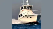 Distraction Charters