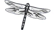 J & J Printing