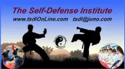 The Self Defense Institute
