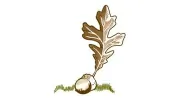 Sonoma Naturopathic Medicine