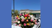 Juanita's Flowers