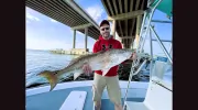 Scallywag Charters