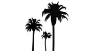 Desert Wellness Psychiatry