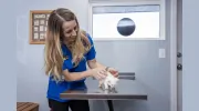Bardens Animal Clinic