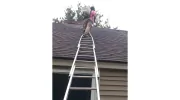 AAA Yarmey's Window Cleaning