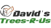 David's Trees R US
