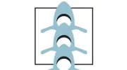 Gateway Spine & Pain Physicians