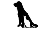 All Creatures Animal Hospital