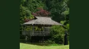 Blue Mountain Martial Arts