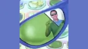 PacifiClear Window Cleaning