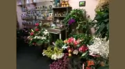 Capitol Florist