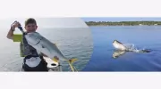 Orlando Fishing Trips