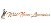 Wild Horse Limousine
