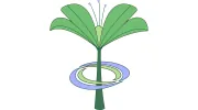 Health Spring Spa