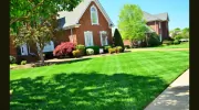 Pro Landscaping Southbury