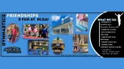 Next Level Gymnastics Academy