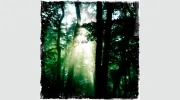 Soul Nature Healing Arts