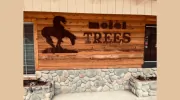 Motel Trees