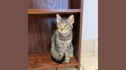 Redkey Veterinary Clinic