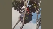 Turner Tree Service