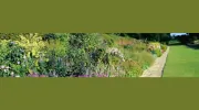 Charles D Ives II Landscaping