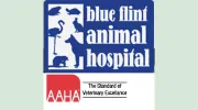 Blue Flint Animal Hospital