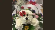 The Flower Shop