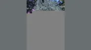 Water Wise Landscaping