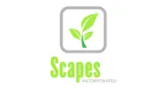 Scapes