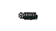 Colucci Insurance