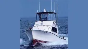 Osprey Fishing Charters
