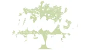 Southern Oaks Realty