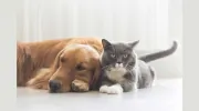 Trinity Ridge Animal Health
