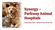 Synergy Parkway Animal Hospital