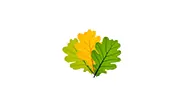 Tree Services of Omaha