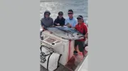 Pelican Sportfishing