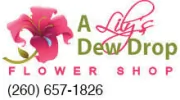 A Lily's Dew Drop