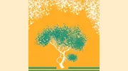 Wild Order Landscape Design
