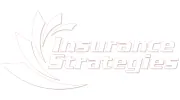 Insurance Strategies