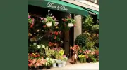Flowers by Philip