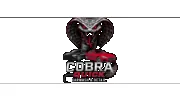 Cobra Quick Car Wash & Detail