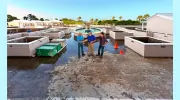 Marzucco's Construction