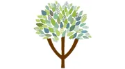 Insight Wellness & Counseling