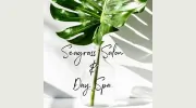 Seagrass Salon & Day Spa