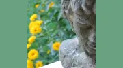 Nest Antiques