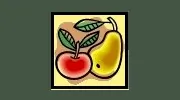 Megna Nutrition Associates