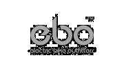 Electric Bike Outfitters