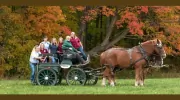 Stone Hill Veterinary Clinic